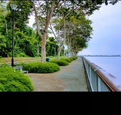 Blk 780C Woodlands Crescent (Woodlands), HDB 4 Rooms #207790811